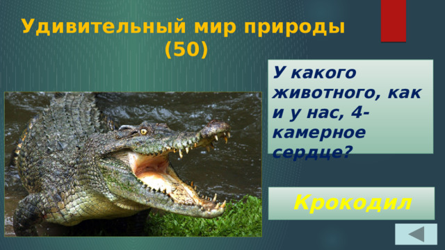 Удивительный мир природы  (50) У какого животного, как и у нас, 4-камерное сердце? Крокодил 