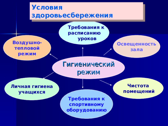 Условия здоровьесбережения Требования к расписанию  уроков Освещенность зала Воздушно- тепловой режим Гигиенический режим Чистота  помещений Личная гигиена учащихся Требования к спортивному оборудованию 