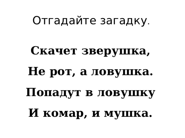 Отгадайте загадку . Скачет зверушка, Не рот, а ловушка. Попадут в ловушку И комар, и мушка.  