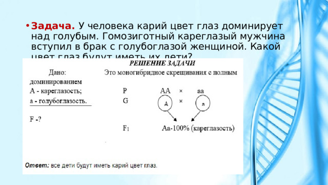 У человека цвет глаз доминирует над голубым