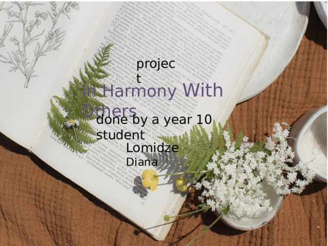 project In Harmony With Others done by a year 10 student Lomidze Diana  