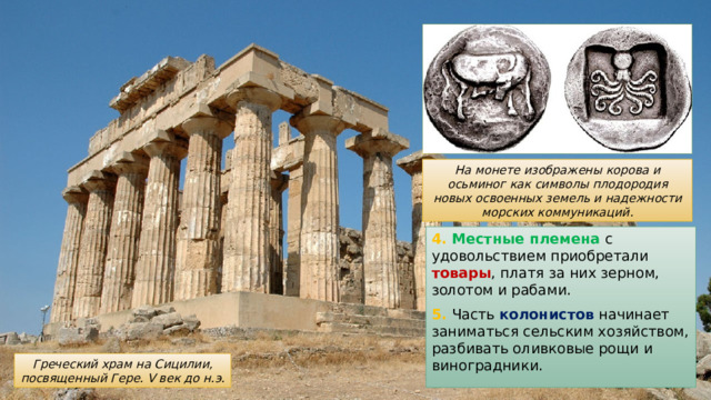 На монете изображены корова и осьминог как символы плодородия новых освоенных земель и надежности морских коммуникаций. 4. Местные племена с удовольствием приобретали товары , платя за них зерном, золотом и рабами. 5. Часть колонистов начинает заниматься сельским хозяйством, разбивать оливковые рощи и виноградники. Греческий храм на Сицилии, посвященный Гере. V век до н.э. 