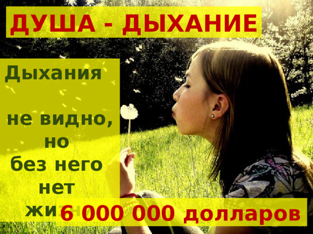 ДУША - ДЫХАНИЕ Дыхания не видно, но без него нет жизни 6 000 000 долларов 