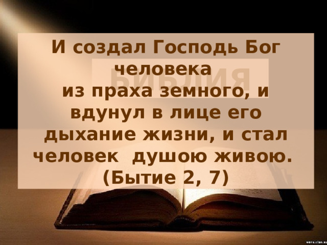 И создал Господь Бог человека из праха земного, и вдунул в лице его дыхание жизни, и стал человек душою живою. (Бытие 2, 7) БИБЛИЯ 
