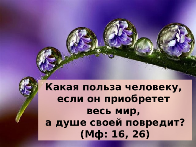 Какая польза. Какая польза человеку если он приобретет весь мир. Приобретешь весь мир а душе повредишь. Если человек приобретет весь мир а душе своей повредит. Какой выкуп даст человек за душу свою.