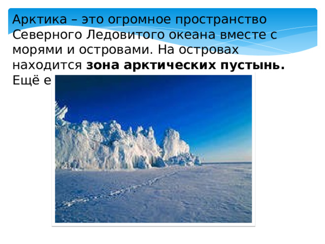 Арктика – это огромное пространство Северного Ледовитого океана вместе с морями и островами. На островах находится зона арктических пустынь. Ещё её называют ледяной зоной. 