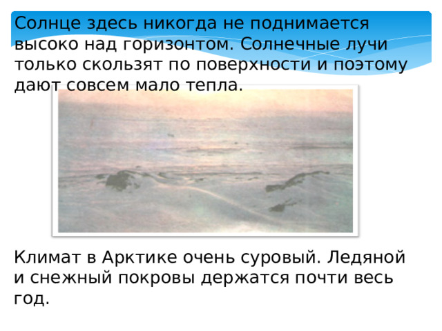 Солнце здесь никогда не поднимается высоко над горизонтом. Солнечные лучи только скользят по поверхности и поэтому дают совсем мало тепла. Климат в Арктике очень суровый. Ледяной и снежный покровы держатся почти весь год. 