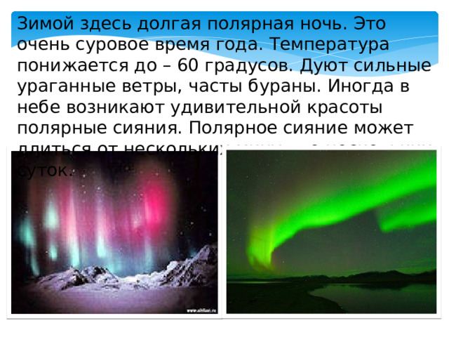 Зимой здесь долгая полярная ночь. Это очень суровое время года. Температура понижается до – 60 градусов. Дуют сильные ураганные ветры, часты бураны. Иногда в небе возникают удивительной красоты полярные сияния. Полярное сияние может длиться от нескольких минут до нескольких суток. 