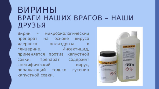 Вирины  враги наших врагов – наши друзья Вирин – микробиологический препарат на основе вируса ядерного полиэдроза в глицерине. Инсектицид, применяется против капустной совки. Препарат содержит специфический вирус, поражающий только гусениц капустной совки. 