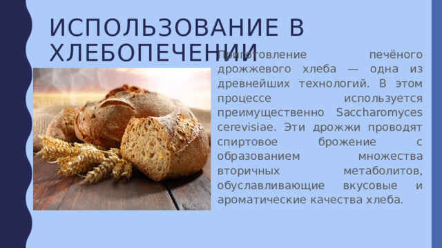Использование в хлебопечении Приготовление печёного дрожжевого хлеба — одна из древнейших технологий. В этом процессе используется преимущественно Saccharomyces cerevisiae. Эти дрожжи проводят спиртовое брожение с образованием множества вторичных метаболитов, обуславливающие вкусовые и ароматические качества хлеба. 