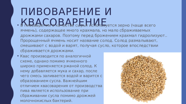 Пивоварение и квасоварение В пивоварении в качестве сырья используется зерно (чаще всего ячмень), содержащее много крахмала, но мало сбраживаемых дрожжами сахаров. Поэтому перед брожением крахмал гидролизуют.. Пророщенный ячмень носит название солод. Солод размалывают, смешивают с водой и варят, получая сусло, которое впоследствии сбраживается дрожжами. Квас производится по аналогичной схеме, однако помимо ячменного широко применяется ржаной солод. К нему добавляется мука и сахар, после чего смесь заливается водой и варится с образованием сусла. Важнейшим отличием квасоварения от производства пива является использование при сбраживании сусла помимо дрожжей молочнокислых бактерий. 
