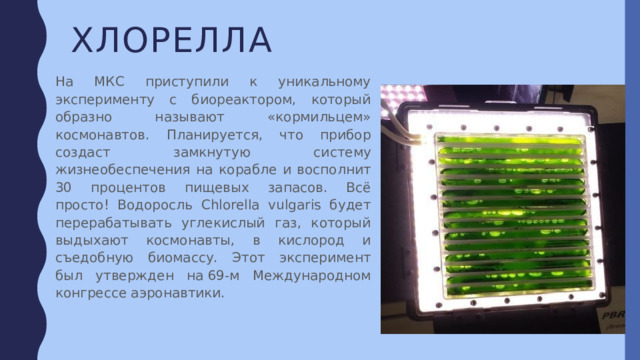хлорелла На МКС приступили к уникальному эксперименту с биореактором, который образно называют «кормильцем» космонавтов. Планируется, что прибор создаст замкнутую систему жизнеобеспечения на корабле и восполнит 30 процентов пищевых запасов. Всё просто! Водоросль Chlorella vulgaris будет перерабатывать углекислый газ, который выдыхают космонавты, в кислород и съедобную биомассу. Этот эксперимент был утвержден на 69-м Международном конгрессе аэронавтики. 
