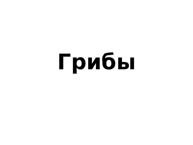Грибы 