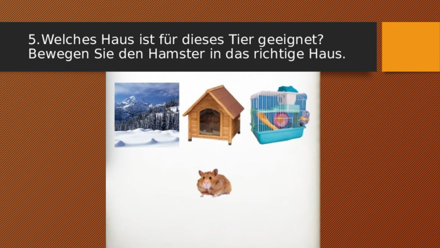 5.  Welches Haus ist für dieses Tier geeignet? Bewegen Sie den Hamster in das richtige Haus. 