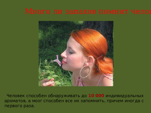 Много ли запахов помнит человек?  Человек способен обнаруживать до 10 000 индивидуальных ароматов, а мозг способен все их запомнить, причем иногда с первого раза. 