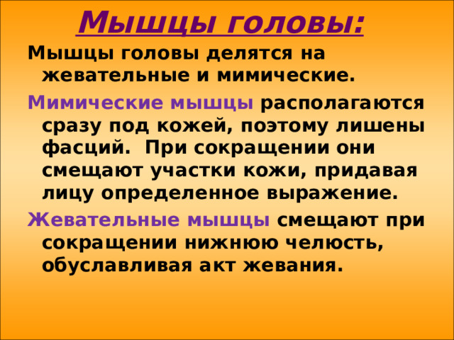 Мышцы головы: Мышцы головы делятся на жевательные и мимические. Мимические мышцы располагаются сразу под кожей, поэтому лишены фасций. При сокращении они смещают участки кожи, придавая лицу определенное выражение. Жевательные мышцы смещают при сокращении нижнюю челюсть, обуславливая акт жевания. 