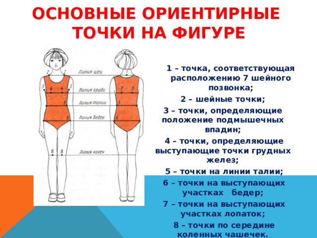 Конструирование. Снятие мерок для построения чертежа фартука.