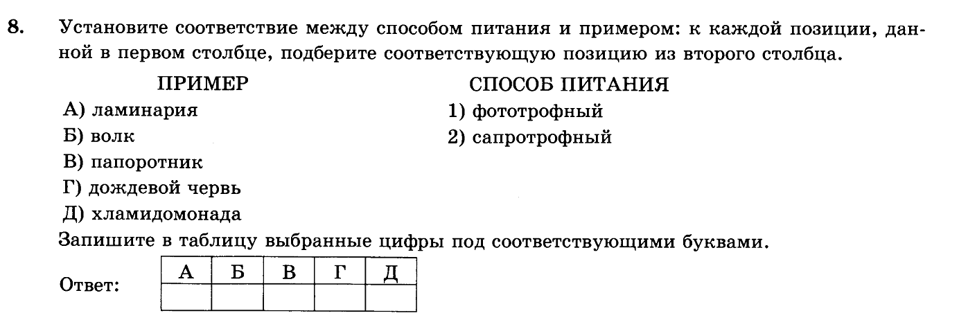 Тест по энергетическому обмену 9 класс