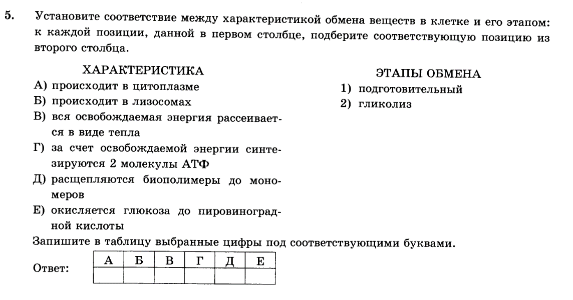 Энергетический обмен тест егэ