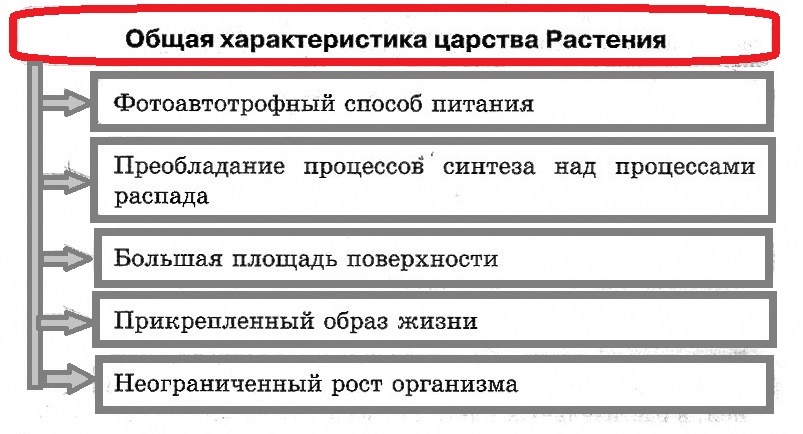 Характеристика царств. Общая характеристика царства растений. Общая характеристика царства растений 6. Общая характеристика царства растений 7 класс биология. Основные характеристики растений.