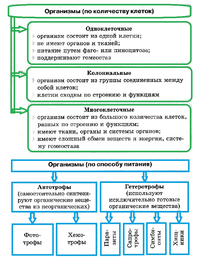 Роль многоклеточных организмов. Особенности клеток одноклеточных и многоклеточных организмов. Одноклеточные организмы и многоклеточные организмы таблица. Различия одноклеточных и многоклеточных организмов. Особенности клеток многоклеточных организмов.