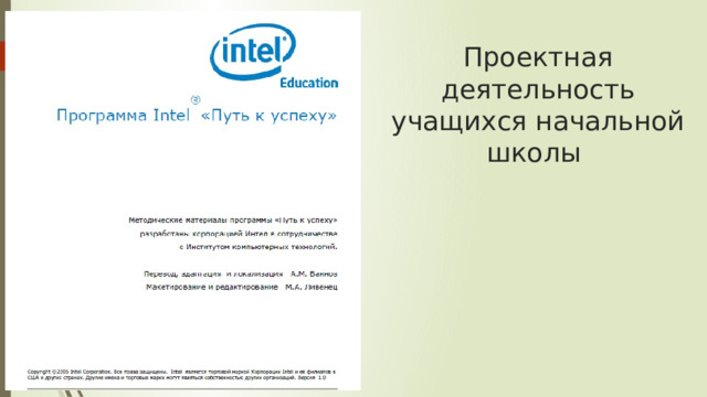 Проектная деятельность учащихся начальной школы 