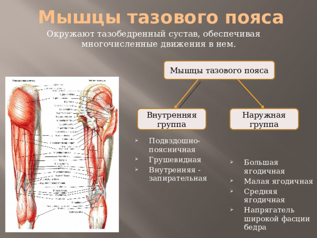 Внутренняя группа