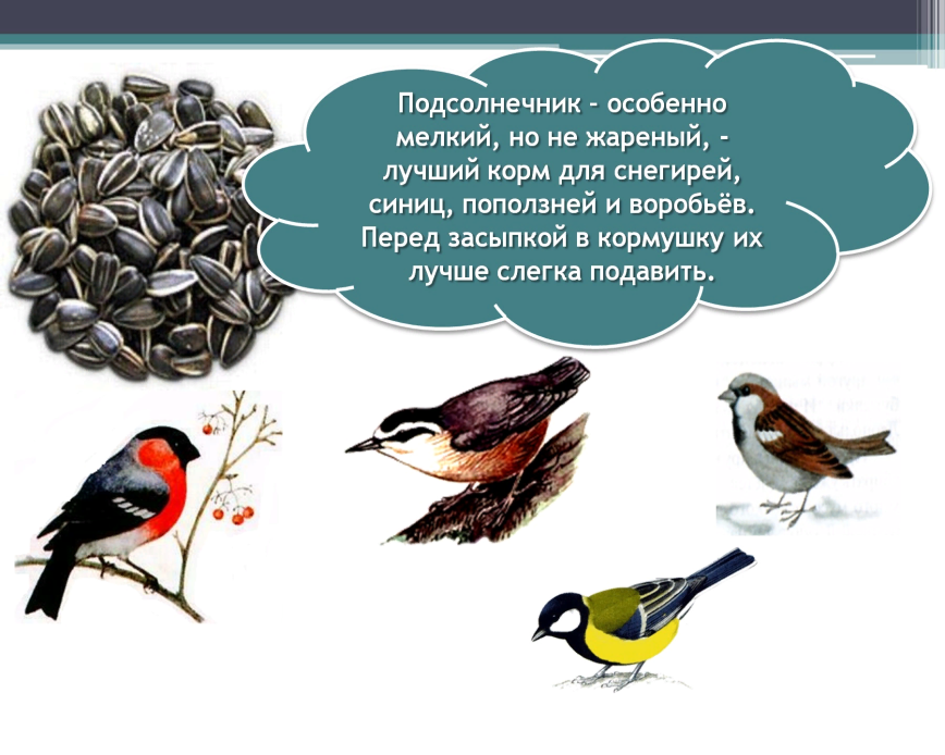 Какой тип развития характерен для снегиря изображенного на рисунке