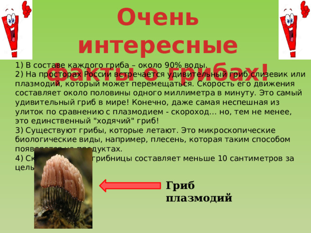 Очень интересные факты о грибах! 1) В составе каждого гриба – около 90% воды. 2) На просторах России встречается удивительный гриб слизевик или плазмодий, который может перемещаться. Скорость его движения составляет около половины одного миллиметра в минуту. Это самый удивительный гриб в мире! Конечно, даже самая неспешная из улиток по сравнению с плазмодием - скороход… но, тем не менее, это единственный 