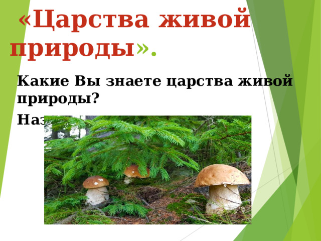   «Царства живой природы ». Какие Вы знаете царства живой природы? Назовите их. 