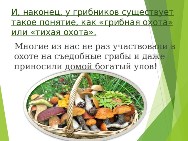 И, наконец, у грибников существует такое понятие, как «грибная охота» или «тихая охота».  Многие из нас не раз участвовали в охоте на съедобные грибы и даже приносили домой богатый улов! 