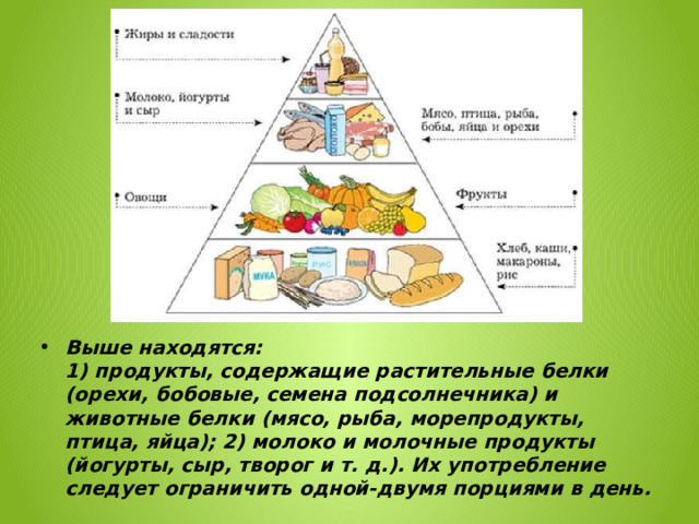 Выше находятся:  1) продукты, содержащие растительные белки (орехи, бобовые, семена подсолнечника) и животные белки (мясо, рыба, морепродукты, птица, яйца); 2) молоко и молочные продукты (йогурты, сыр, творог и т. д.). Их употребление следует ограничить одной-двумя порциями в день. 