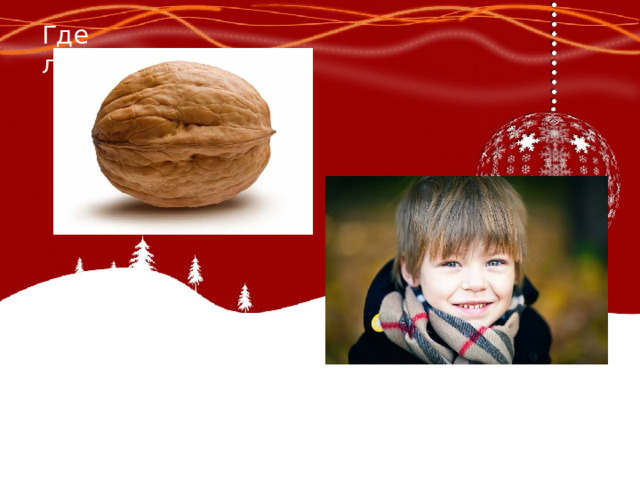 Конкурс где логика с ответами