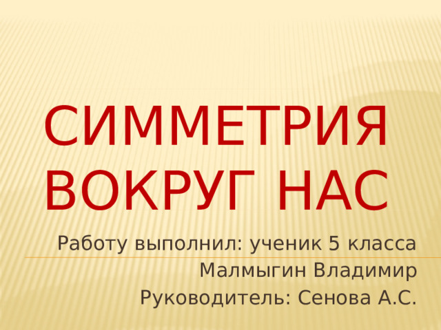 Симметрия  вокруг нас Работу выполнил: ученик 5 класса  Малмыгин Владимир Руководитель: Сенова А.С. 