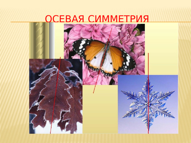 Осевая симметрия 