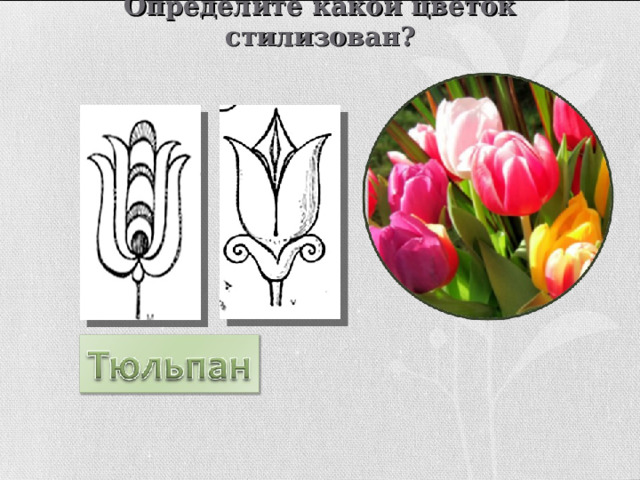 Определите какой цветок стилизован? 