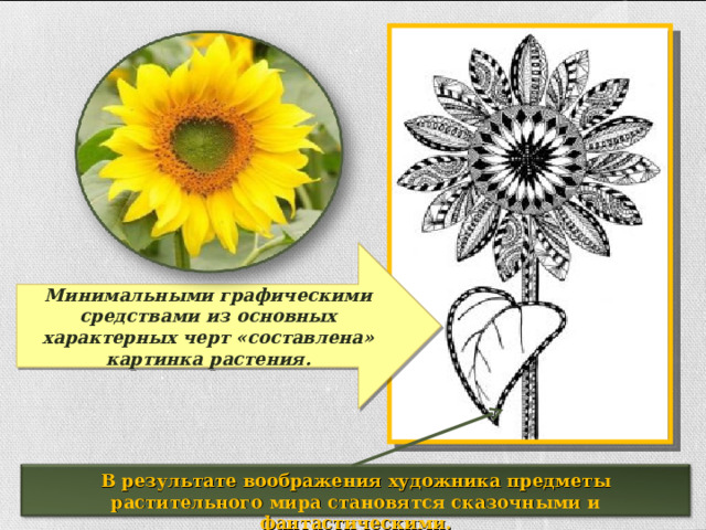 Минимальными графическими средствами из основных характерных черт «составлена» картинка растения. В результате воображения художника предметы растительного мира становятся сказочными и фантастическими. 
