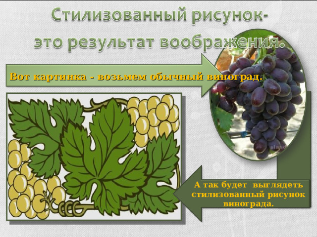 Вот картинка - возьмем обычный виноград . А так будет выглядеть стилизованный рисунок винограда. 