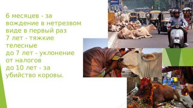6 месяцев - за вождение в нетрезвом виде в первый раз  7 лет - тяжкие телесные  до 7 лет - уклонение от налогов  до 10 лет - за убийство коровы.   