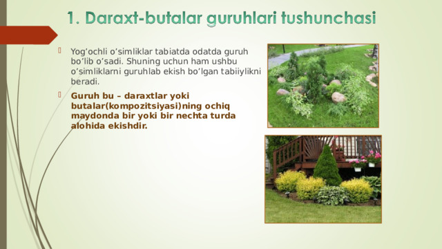 Yog’ochli o’simliklar tabiatda odatda guruh bo’lib o’sadi. Shuning uchun ham ushbu o’simliklarni guruhlab ekish bo’lgan tabiiylikni beradi. Guruh bu – daraxtlar yoki butalar(kompozitsiyasi)ning ochiq maydonda bir yoki bir nechta turda alohida ekishdir. 