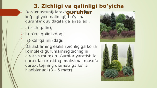 3. Zichligi va qalinligi bo’yicha guruhlar Daraxt ustuni(daraxt tanalarining ko’pligi yoki qalinligi) bo’yicha guruhlar quyidagilarga ajratiladi: а) zich ( qalin ), b ) o’rta qalinlikdagi  в) xoli qalinlikdagi . Daraxtlarning ekilish  zichligiga ko’ra komplekt guruhlarning zichligini ajratish mumkin. Gurhlar yaratishda daraxtlar orasidagi maksimal masofa daraxt tojining diametriga ko’ra hisoblanadi (3 – 5 matr)   