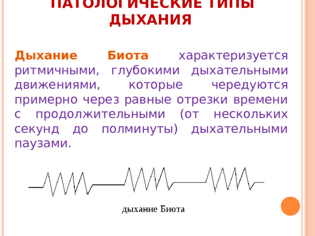                                                  ПАТОЛОГИЧЕСКИЕ ТИПЫ ДЫХАНИЯ      Дыхание Биота характеризуется ритмичными, глубокими дыхательными движениями, которые чередуются примерно через равные отрезки времени с продолжительными (от нескольких секунд до полминуты) дыхательными паузами. 