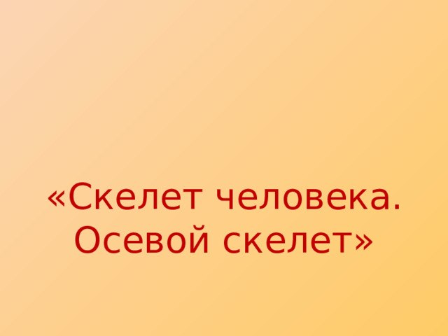 «Скелет человека. Осевой скелет» 