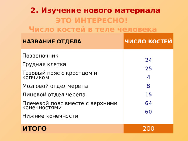 2. Изучение нового материала ЭТО ИНТЕРЕСНО! Число костей в теле человека НАЗВАНИЕ ОТДЕЛА ЧИСЛО КОСТЕЙ Позвоночник  Грудная клетка 24 ИТОГО  25 200  Тазовый пояс с крестцом и копчиком  Мозговой отдел черепа  4  8  Лицевой отдел черепа  15  Плечевой пояс вместе с верхними конечностями  64  Нижние конечности  60 