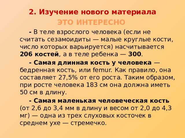 2. Изучение нового материала ЭТО ИНТЕРЕСНО   - В теле взрослого человека (если не считать сезамоидиты — малые круглые кости, число которых варьируется) насчитывается 206 костей , а в теле ребенка — 300 .   - Самая длинная кость у человека — бедренная кость, или femur. Как правило, она составляет 27,5% от его роста. Таким образом, при росте человека 183 см она должна иметь 50 см в длину.    - Самая маленькая человеческая кость (от 2,6 до 3,4 мм в длину и весом от 2,0 до 4,3 мг) — одна из трех слуховых косточек в среднем ухе — стремечко. 