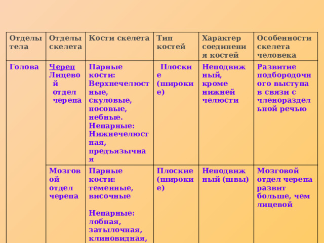 Отделы тела Отделы скелета Голова Череп Кости скелета Мозговой отдел черепа Лицевой отдел черепа Парные кости: Верхнечелюстные, скуловые, носовые, небные. Непарные: Нижнечелюстная, предъязычная Тип костей  Характер соединения костей Плоские (широкие) Парные кости: теменные, височные Особенности скелета человека Неподвижный, кроме нижней челюсти  Плоские (широкие) Развитие подбородочного выступа в связи с членораздельной речью Непарные: лобная, затылочная, клиновидная, решетчатая Неподвижный (швы) Мозговой отдел черепа развит больше, чем лицевой 