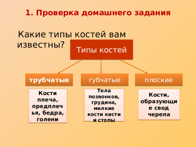 1. Проверка домашнего задания  Какие типы костей вам известны? Типы костей трубчатые губчатые плоские Кости плеча, предплечья, бедра, голени Тела позвонков, грудина, мелкие кости кисти и стопы Кости, образующ ие свод черепа 