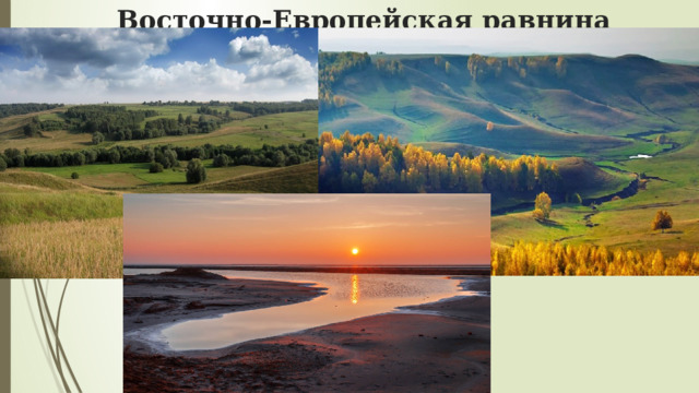 Восточно-Европейская равнина 