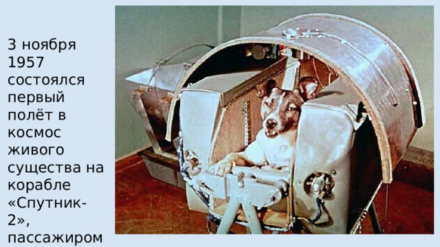 3 ноября 1957 состоялся первый полёт в космос живого существа на корабле «Спутник-2», пассажиром спутника стала собака Лайка. 