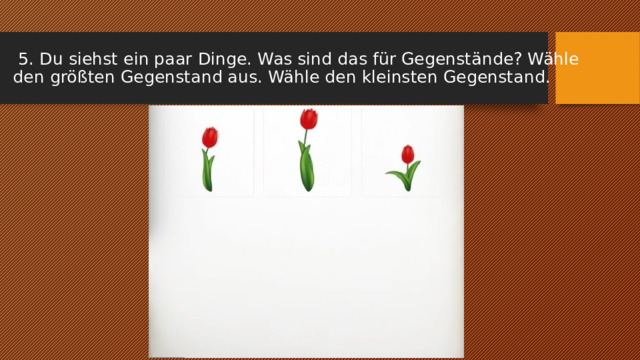  5. Du siehst ein paar Dinge. Was sind das für Gegenstände? Wähle den größten Gegenstand aus. Wähle den kleinsten Gegenstand. 